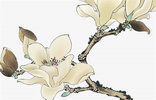 2026年农历腊月十二动土是上上吉时吗？ 今日动土算不算好日子？