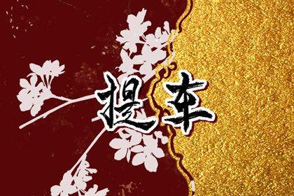 2026年04月29日提车能算好日子吗？ 买新车能算好日子吗