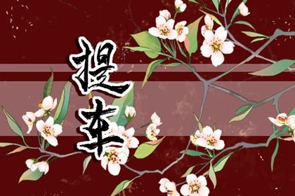 2025年05月03日是否适宜提车？ 今日提新车好吗