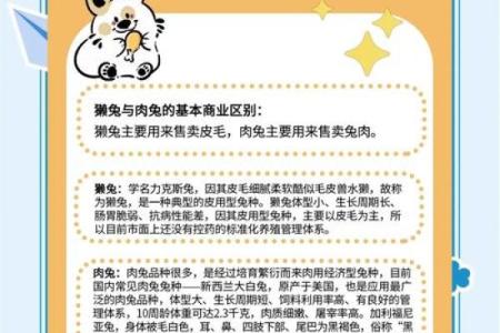 兔子相配与否的背后原因解析