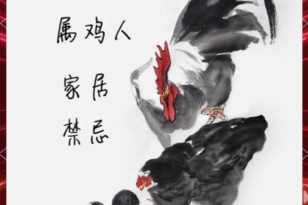 本命年属鸡的风水布局与调整
