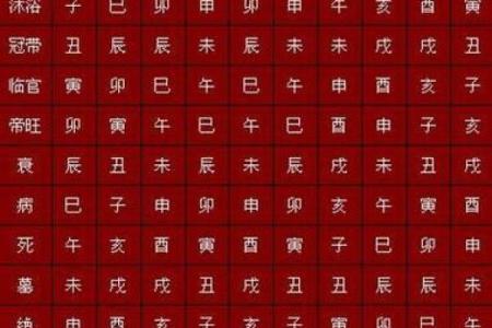 甲命的含义与解析：探索命理中的甲命特征