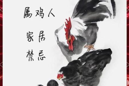 本命年属鸡的风水布局与调整