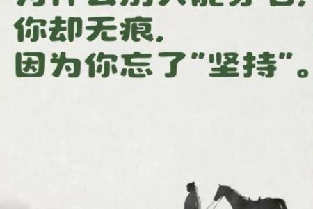 解读双清格命局对人生运势的影响