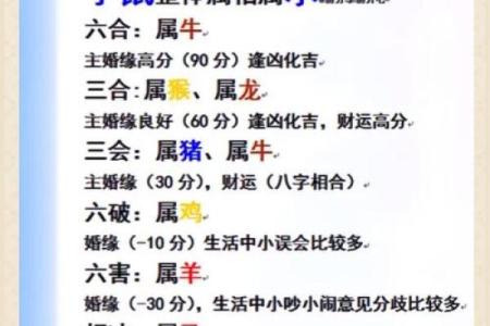 生肖虎猴配对如何？揭开两者之间的关系
