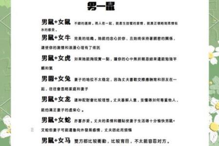 本命年鼠男如何提升人际沟通能力
