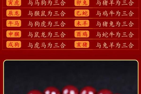 本命年蛇男如何避免冲动决策