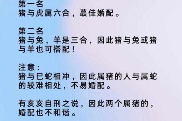 男与属属猪鼠女女属的鼠缘：分性格与互匹配补还是度冲