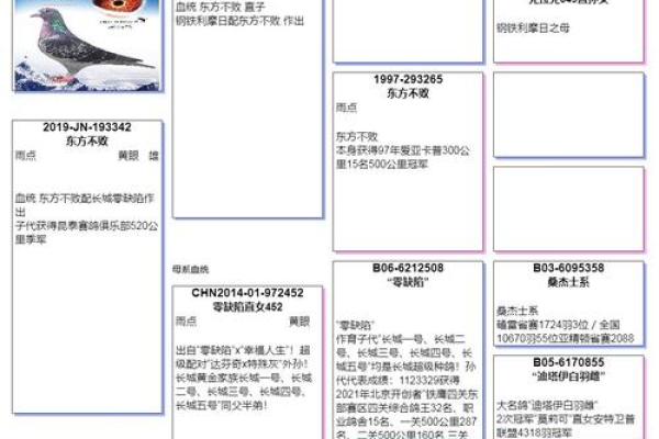 探索最受欢迎的鸽子名字，选择适合你爱鸟的那个