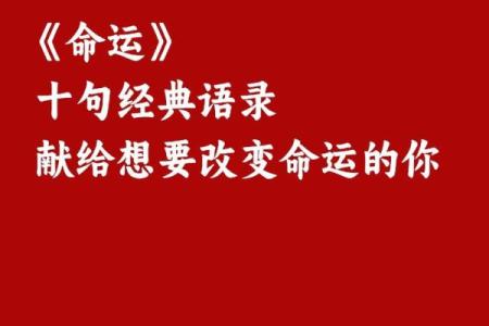 回顾，命运如何塑造人生道路