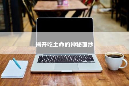揭开吃土命的神秘面纱