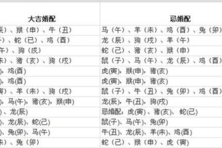 男与属属猪鼠女女属的鼠缘：分性格与互匹配补还是度冲
