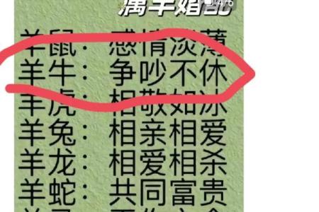 探讨男狗女马在感情中的相容性