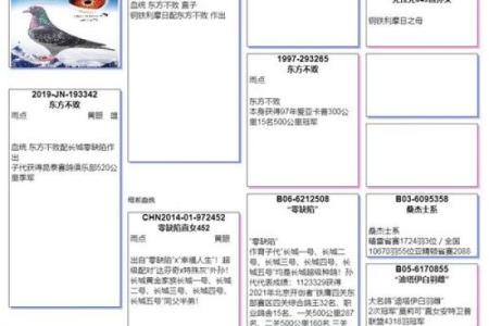 探索最受欢迎的鸽子名字，选择适合你爱鸟的那个