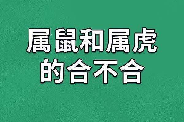 虎鼠配对的优缺点解析
