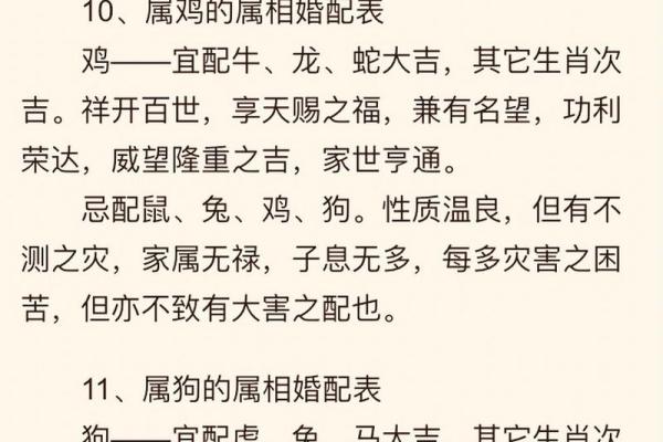 虎鼠配对的优缺点解析