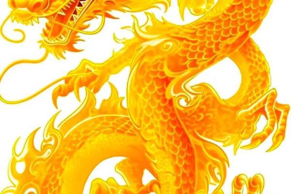 本命年龙男应对健康问题的准备