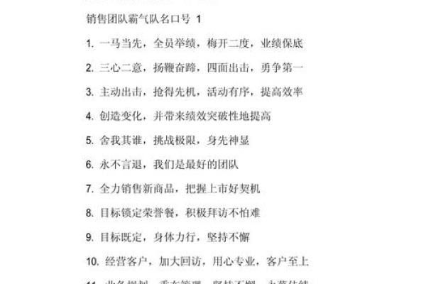一个响亮的队伍名字如何影响团队的表现