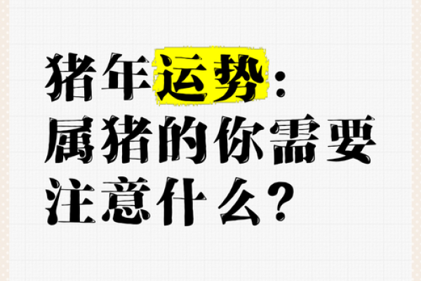 属猪人本命年如何避免工作中的失误