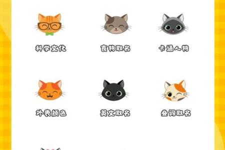 适合男猫的个性化名字推荐