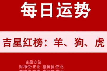 本命年虎女的财运与理财建议