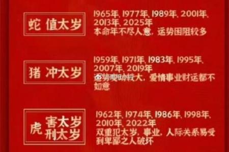 本命年虎男如何解决情感问题