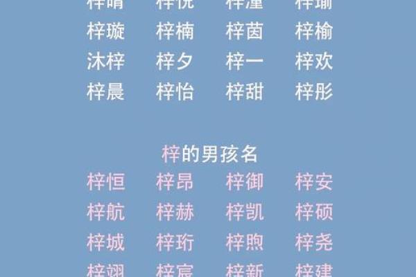 梓字的来源与象征意义在名字中的运用