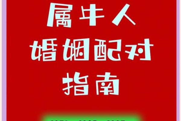 牛年婚姻配对解析：两牛携手的幸福密码