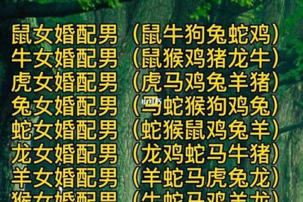 属鸡男与属猴女：天生契合还是磨合难题