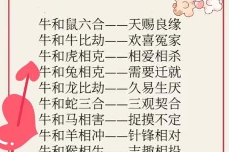 解读牛兔配对：两者的性格契合度如何