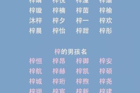 梓字的来源与象征意义在名字中的运用