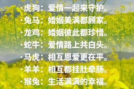 牛年婚姻配对解析：两牛携手的幸福密码