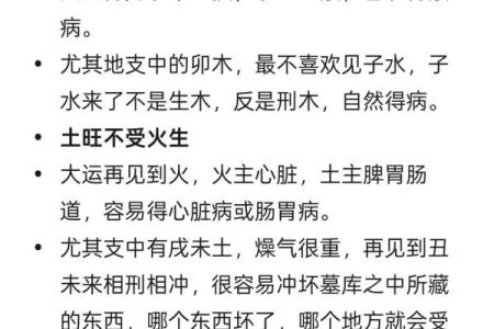 火虎命的命理解析与人生运势探秘