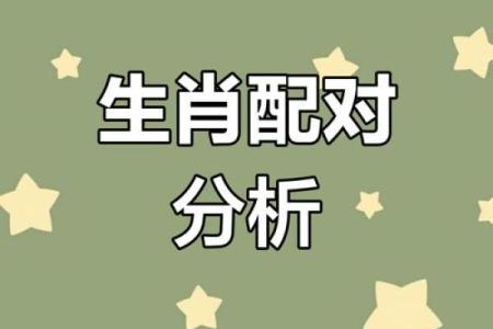 属鸡男与属猴女：天生契合还是磨合难题