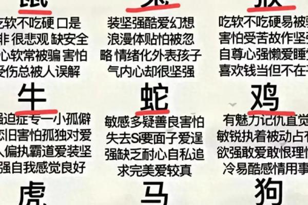 鼠与哪个属相最为相配？探索最佳配对组合
