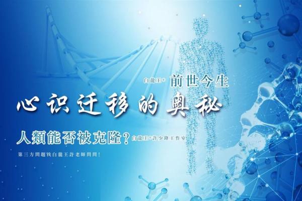揭秘黑猴命背后的命理奥秘