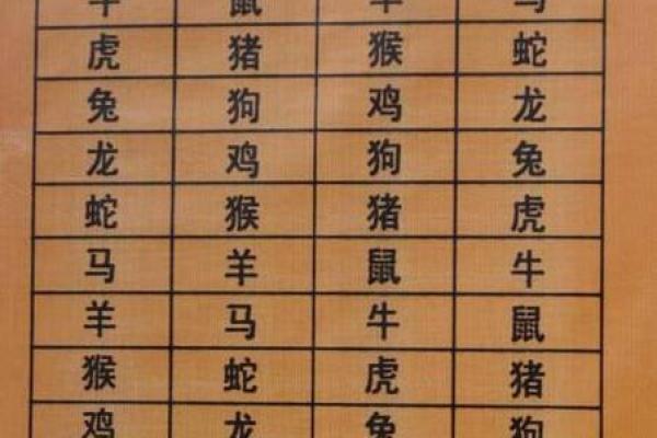 属兔男女配对情况解析 爱情的契合度