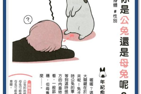 兔年出生的男女是否是理想伴侣