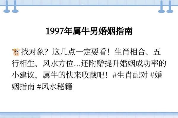 从性格到婚姻，牛男和马女是否是理想搭档