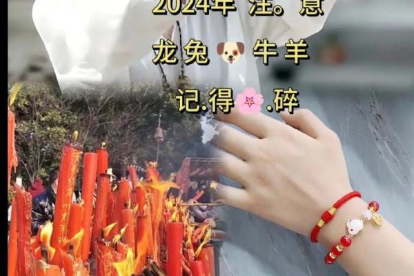 本命年羊男如何保护自己的财产