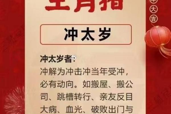 属猪人本命年如何避免与他人发生冲突