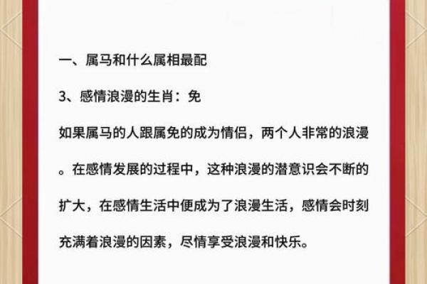 结婚属相配对的最佳指南与建议