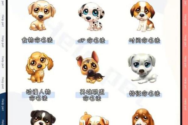 温柔又有趣的女狗狗名字大全