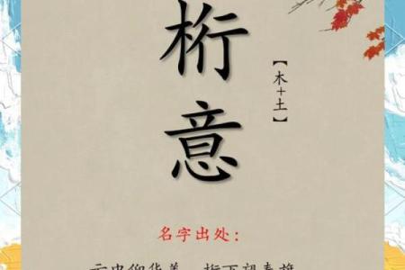 幸名字在不同文化中的象征意义