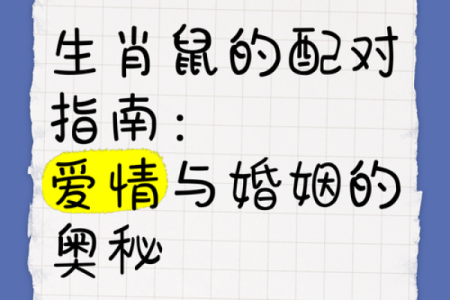 鼠与哪个属相最为相配？探索最佳配对组合