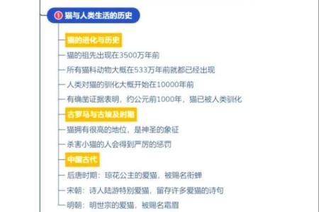 揭开猫命格的神秘面纱 探索猫咪的命运