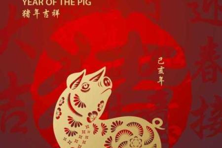 本命年属牛如何更好地规划未来