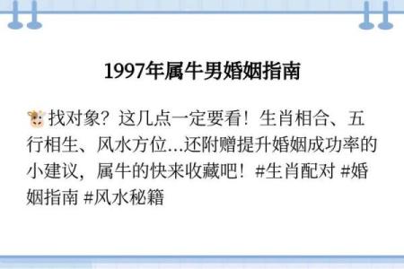 从性格到婚姻，牛男和马女是否是理想搭档