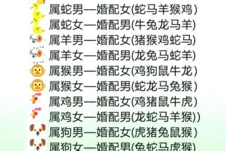 女猪男猴是否合适的生肖配对分析