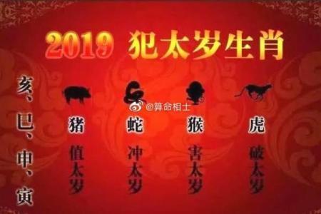 属猪人本命年如何避免与他人发生冲突